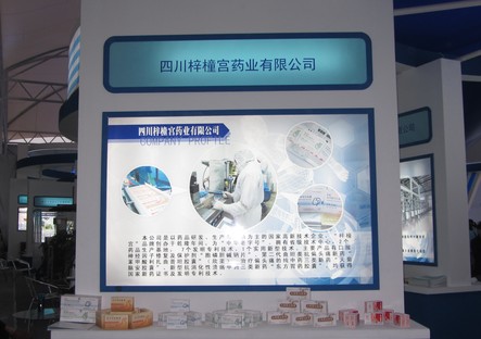 中国科技城科技博览会.jpg